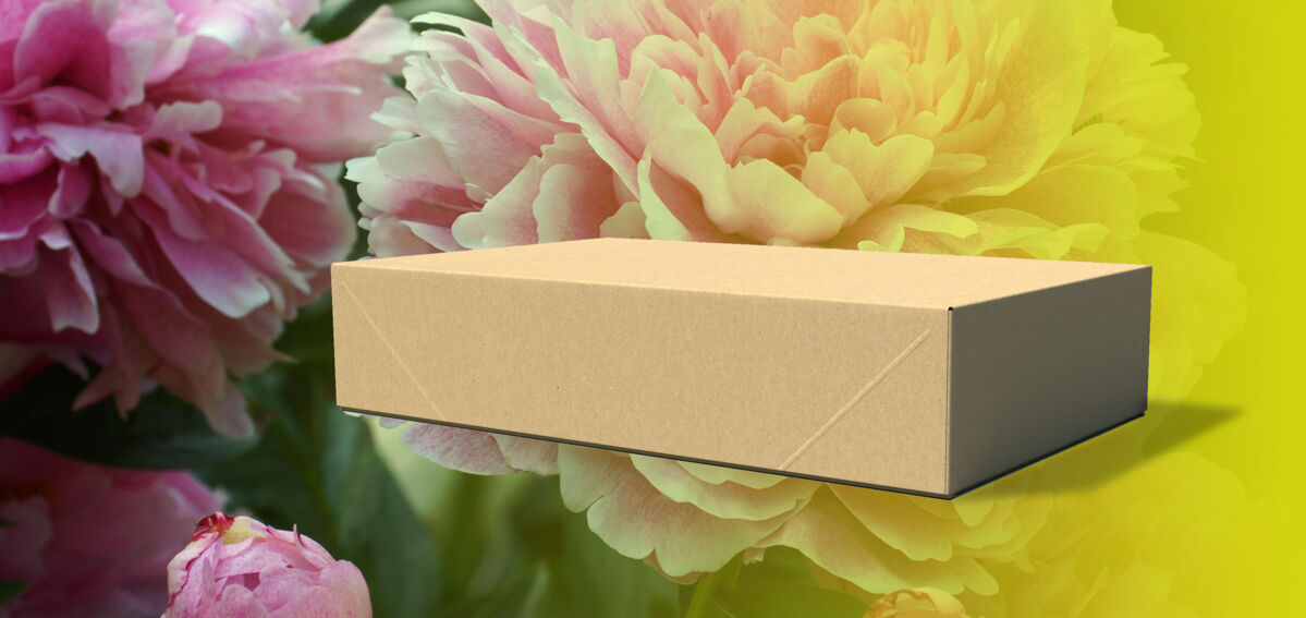 Smart-Packaging-Solutions-4-punts-doos-3 Smart-Packaging-Solutions-4-punts-doos-3