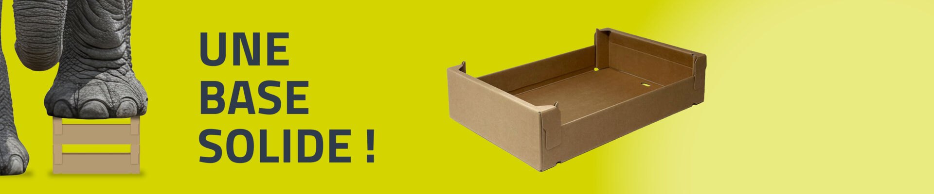 Nouveau plateau pour volaille, viande et poisson