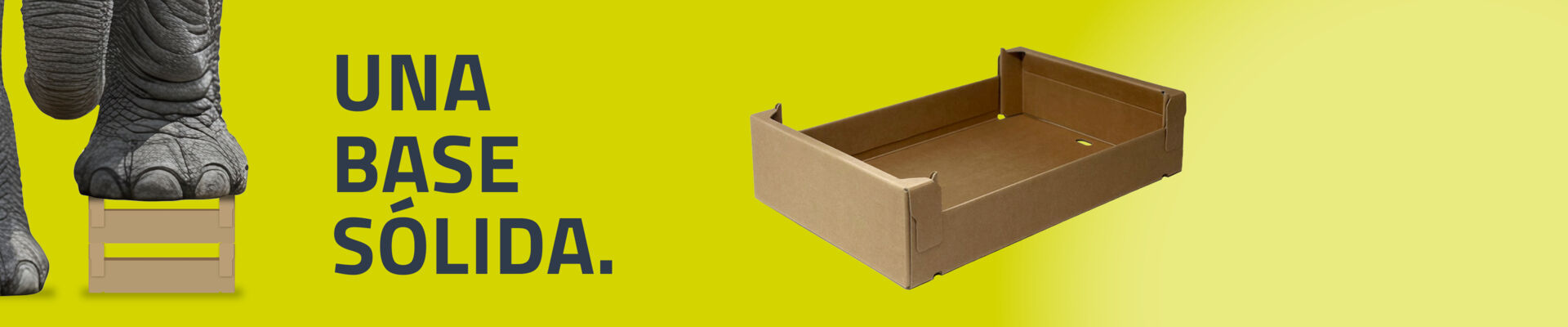 Nueva bandeja para pollo, pescado y carne